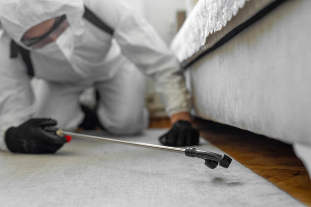 Professional Bed Bug Control technician working in Palmer, TX